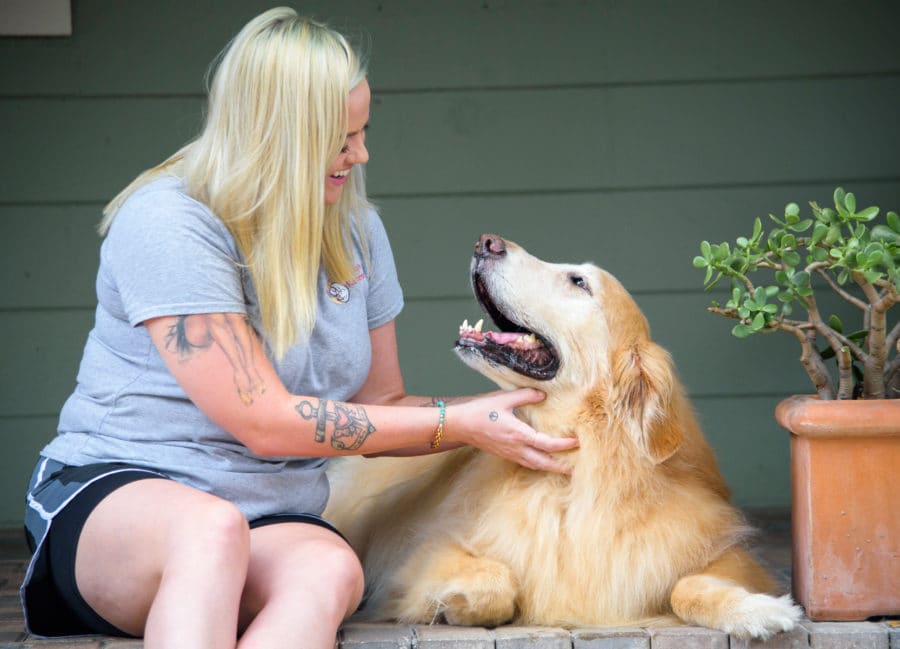 Dog Home Boarding Policies And Procedures