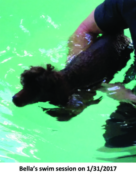 Bella's hydrotherapy session