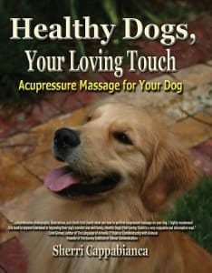 Healthy dogs massage book by Sherri Cappabianca