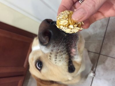 Healthy dog treat recipe