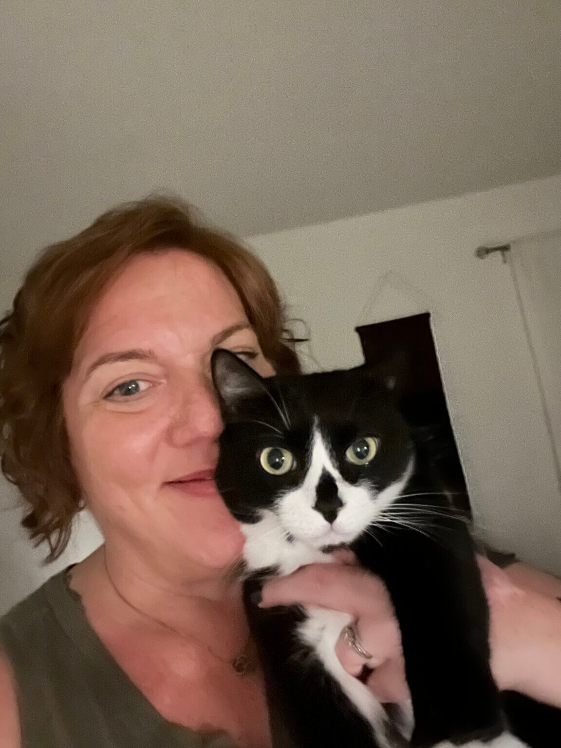 Orlando Dog Boarding Dog Boarding OrlandoRockys Retreat