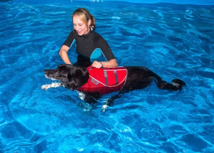 Orlando aqua therapy for dogs