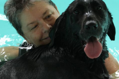 Canine Aqua Therapy